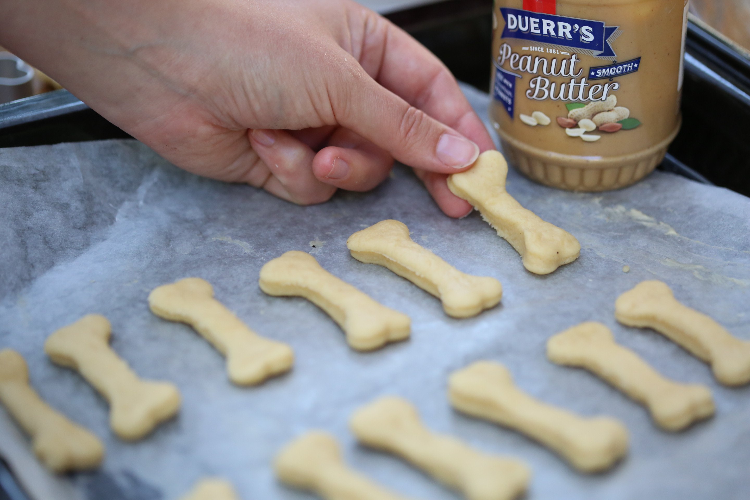 Biscuits pour chien | La Fabrique DIY